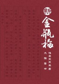 新金瓶梅***版5集全[国语无字