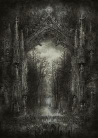 心之全愿华木有听