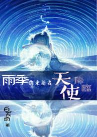 雨季的来客简介