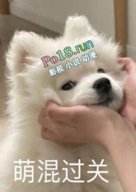 别捏我脸(校园1v2)缇安免费阅读御书房