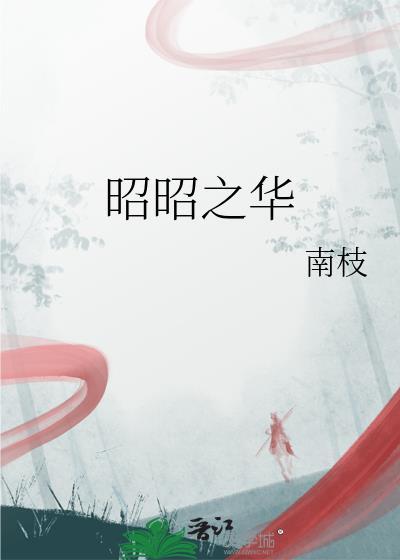 昭昭之华作者南枝