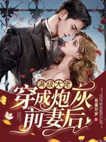 满级大佬穿成炮灰前妻后txt