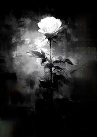 藏起来全文阅读