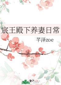有关宸王的