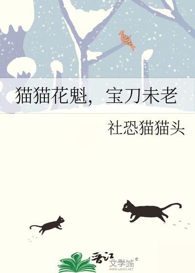 宝刀未老作者社恐猫猫头