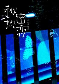 秘密恋情百度百科