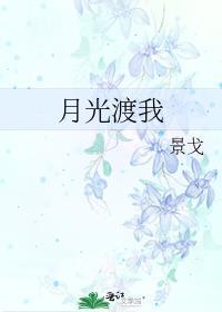 月光渡我不渡余生