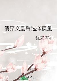 清穿文皇后选择摸鱼作者犹未雪狸