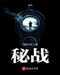 秘战电视剧免费观看完整版