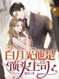 白月光是他全文免费阅读