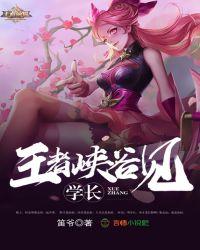 学长王者峡谷见