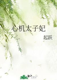 心机丫鬟当上太子妃