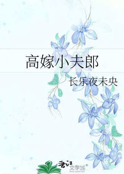 高嫁小夫郎晋江