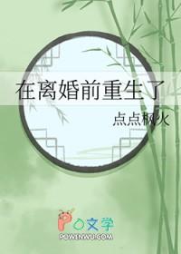 在离婚前重生了 点点枫火