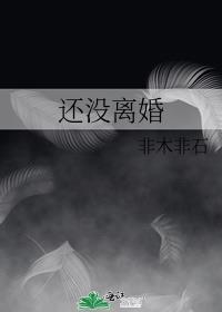 还没有离婚可以谈新的感情吗
