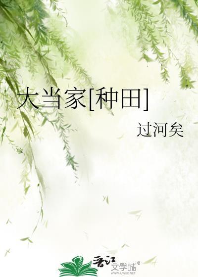 大当家免费阅读