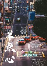 半点心(DJ版)