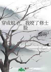 帝王将相言情