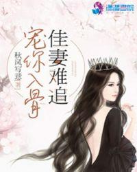 宠妻入骨全文免费