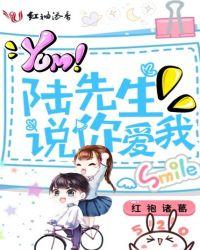 陆先生爱我别离开