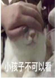 圈养折枝