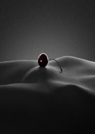 顶风作案np弥花