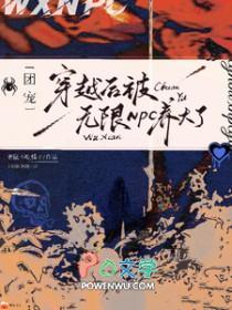 团宠穿越后被无限NPC养大了视频