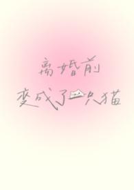 离婚前变成了一只猫(1V1) 作者谁又