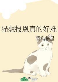 娱乐圈失忆文