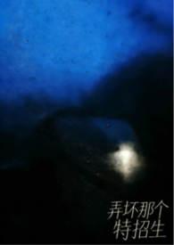 弄坏那个特招生原著叫什么