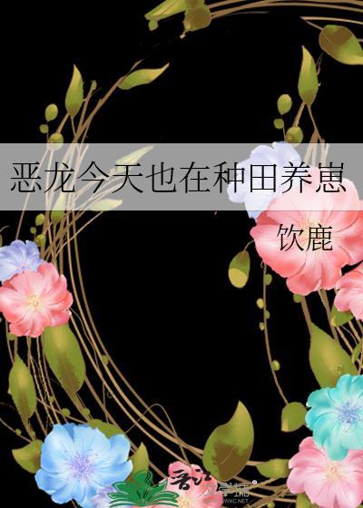 综本丸里记