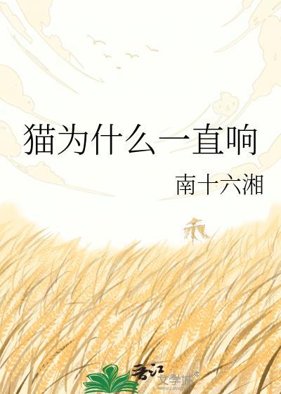 猫为什么一直响南十六湘
