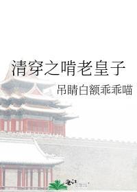 清穿之皇子的自我修养章节列表