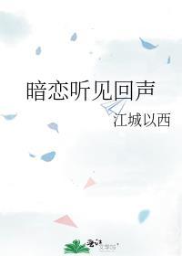 暗恋听见回声百度txt