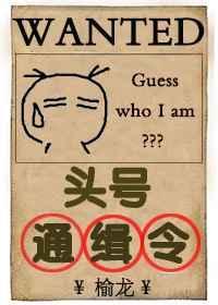 头号通缉令