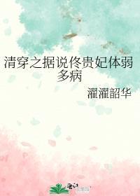 清穿之佟皇贵妃