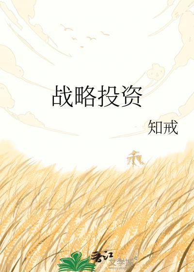 战略投资委员会