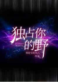 独占你的野笔趣阁