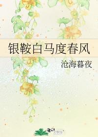 银鞍白马度春风番外讲的什么