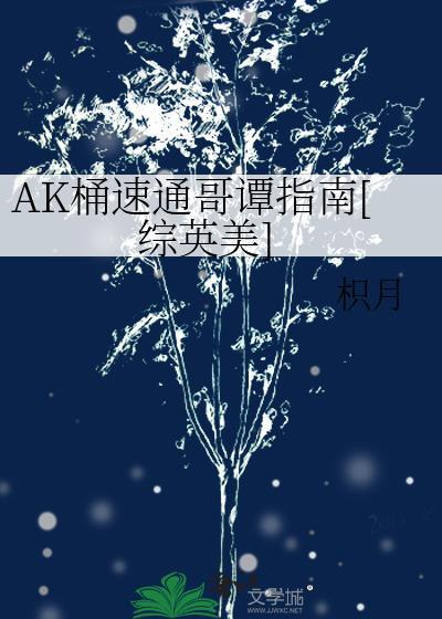 AK桶速通哥谭指南[综英美