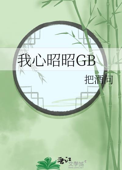 我心昭昭3