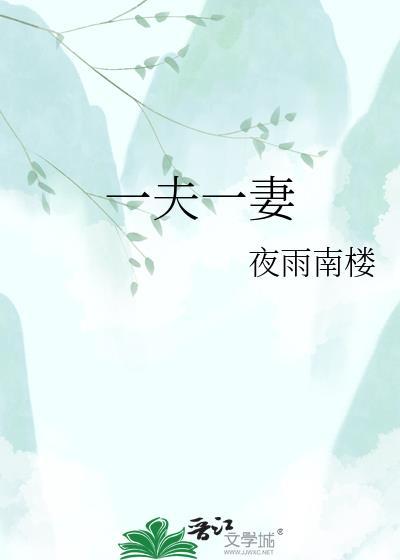 一夫一妻电视剧