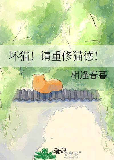 坏猫猫搜索1.6.0