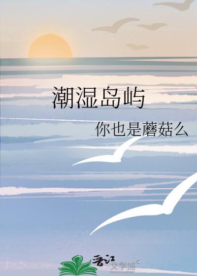 潮湿岛屿百度