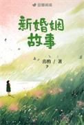 新婚姻故事全文免费阅读