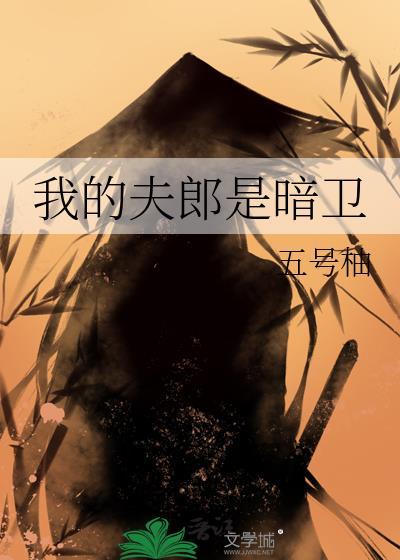 我的夫郎是奇葩免费阅读
