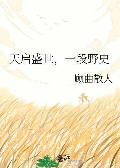 天启是什么公司
