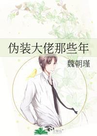 伪装大佬那些年全本TXT