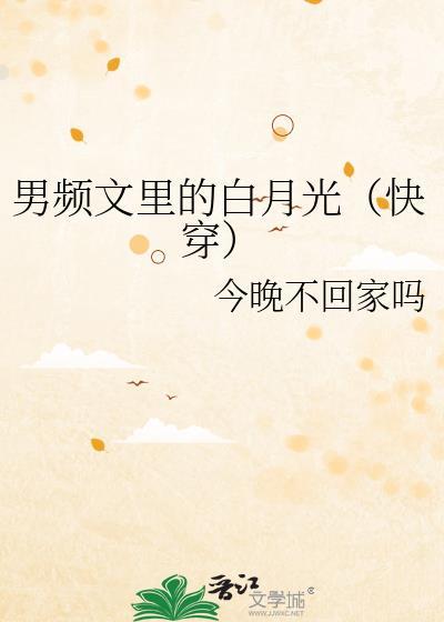 男频文是什么意思?