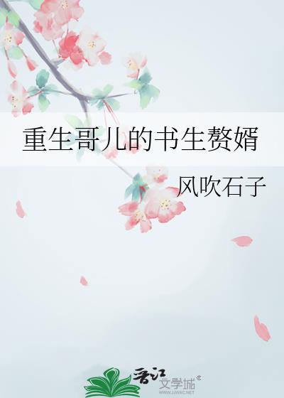 重生哥儿的书生赘婿讲的什么
